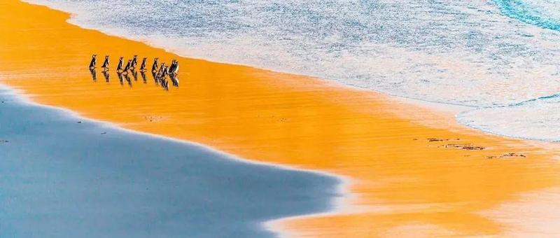 欣赏｜美好地球自然摄影大赏