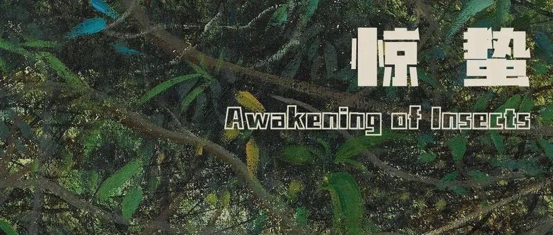 惊蛰 | 春雷响，万物长