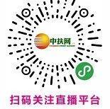 深圳市龙岗区2022年“三八”国际妇女节消费帮扶直播周