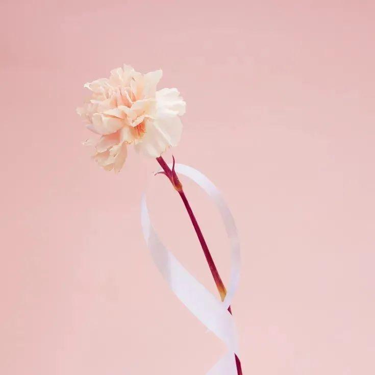 安心稚语“童”防疫|致敬逆行天使，童唱美好未来