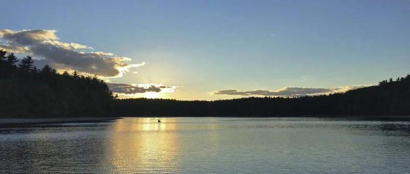 “阅”满鹤湖｜我爱独处