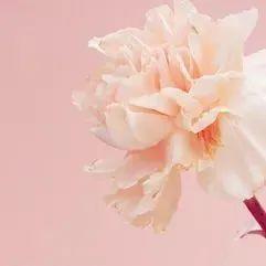 致敬“她”典范——获评省级荣誉集体