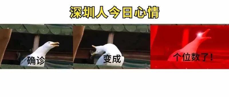 深圳新增6例病例，在隔离观察的密接者和重点区域筛查中发现