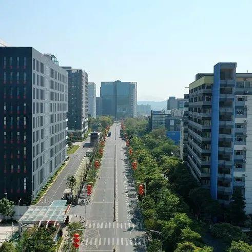 春节后，4460人在坪地这一平台找到工作！