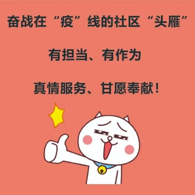 奋战在“疫”线的社区“头雁”(二)：众志成城，抗疫路上我们在一起！