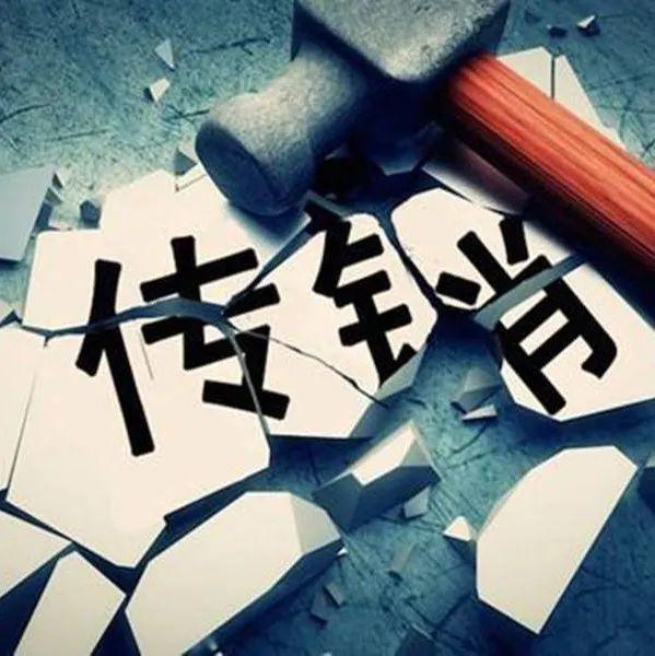 女大学生加入传销组织4年发展会员逾万，被判刑并罚十万元