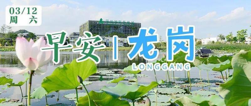 深圳推出“15分钟步行核酸服务圈”！龙岗今年将统筹推进37项改革任务｜早安，龙岗