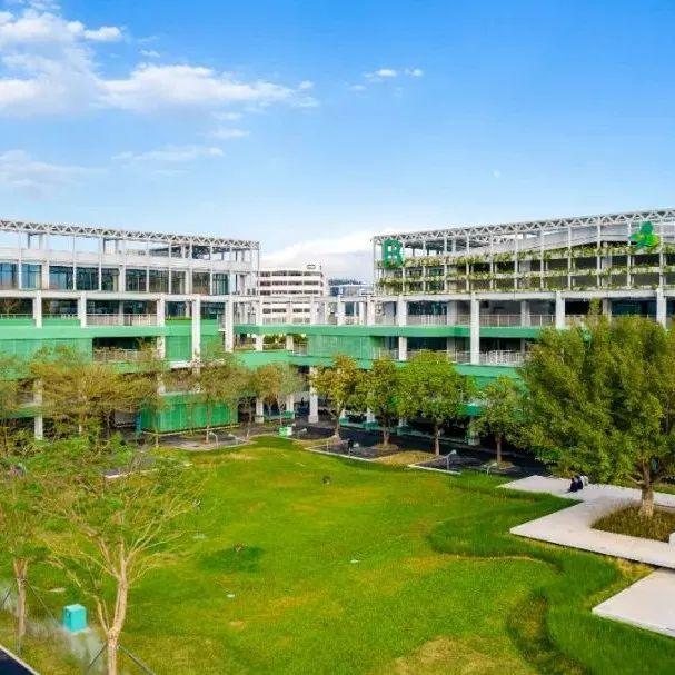 生活、就医等有需要，就打坪地这些暖心服务热线！