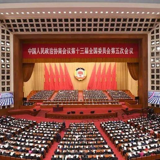 两会之声 | 他们为文化发展建言献策