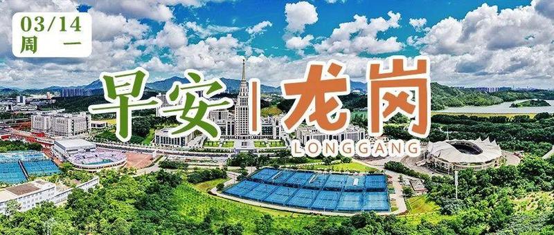 放心！龙岗区生活物资总量充足供应稳定｜早安，龙岗