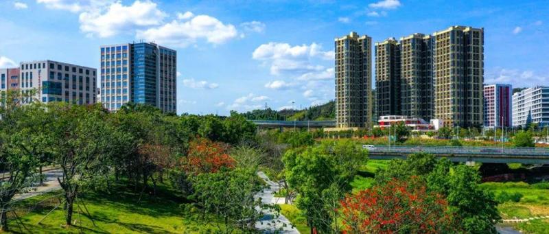 致坪地居民的一封信