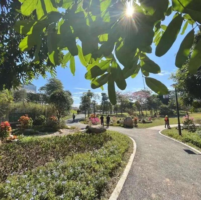 怎么过好七天“慢生活”？权威回应！