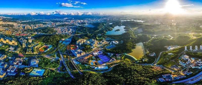 更多栏目上线！你想了解的这里都有！