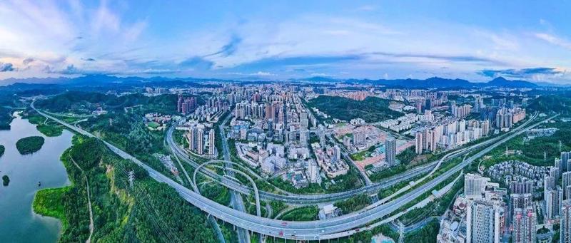 厚植为民情！龙岗在抗疫战场上淬炼初心使命