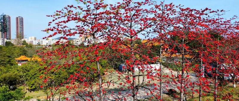 龙岗人“慢生活”的N种打开方式