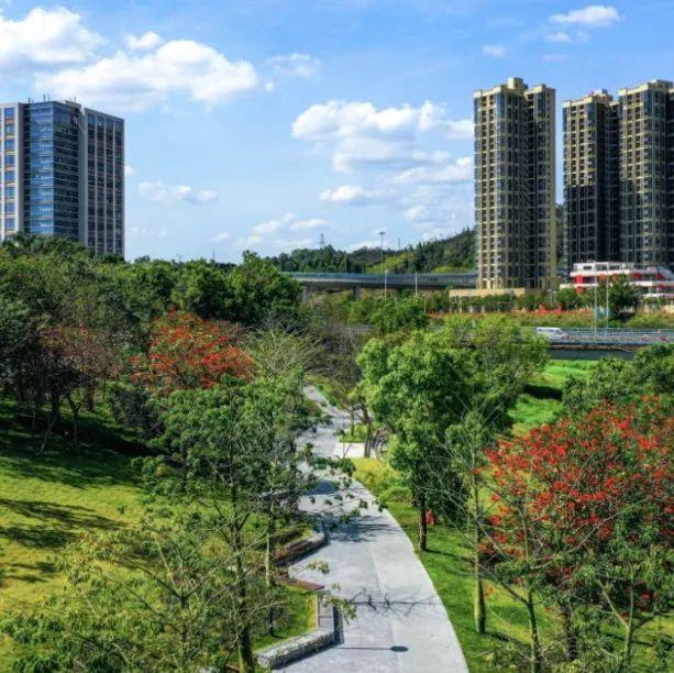 坪地街道文明“抗疫宅生活”创意作品，有奖征集大赛来啦！