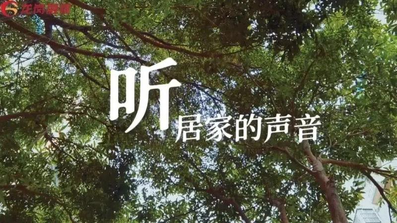 听·居家的声音