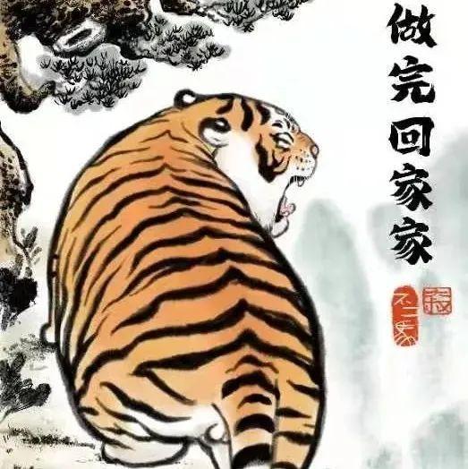 龙岗这只“胖虎”的日常大曝光，TA每天都……