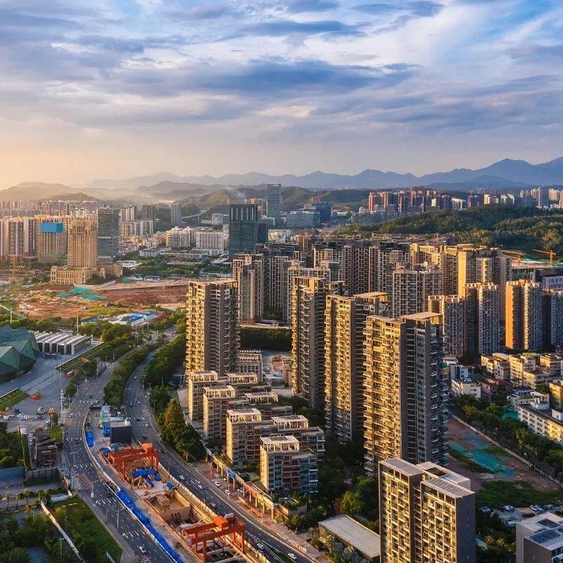 深圳速度正在“返场”！中小企业纾困“大军”来了！