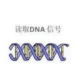 Ct值是什么？调整后，轻症不用住院吗？