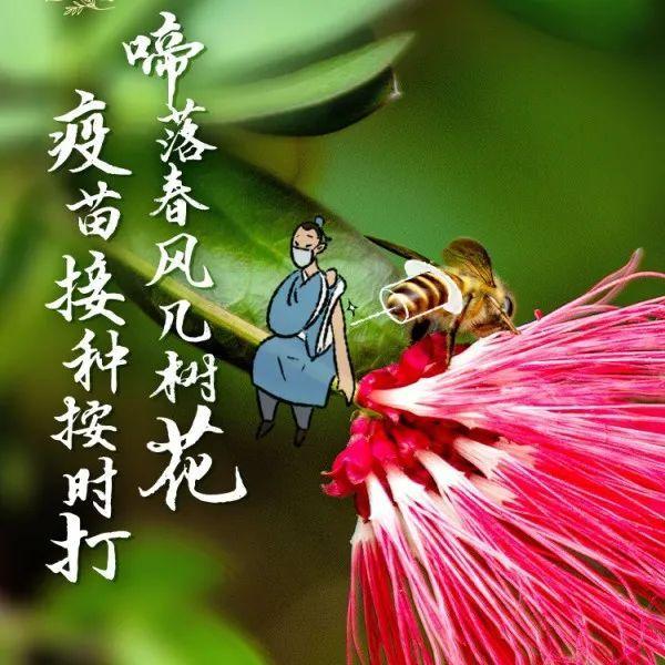 花解语、诗相伴！这份防疫飞花令请收好～