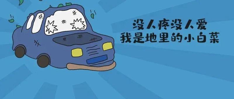 车停太久再启动，一定要先检查这几个地方！否则危险又伤车！