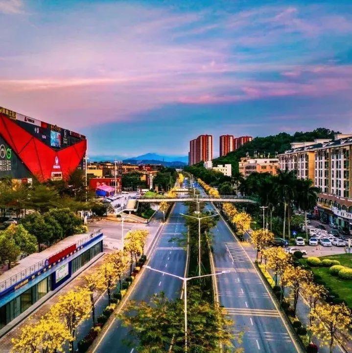 抗疫日记⑤ | 疫情终将过去，春已来，龙岗花正开！