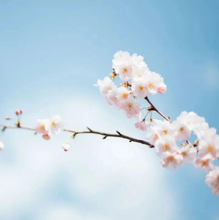 “阅”满鹤湖｜这份春日清单，值得珍藏