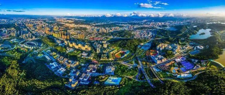 确保“双链”稳定！龙岗让企业吃下发展“定心丸”