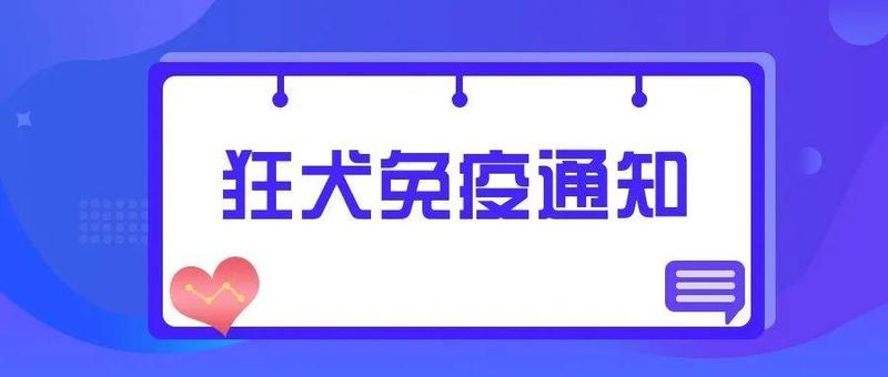 快来免费办“通行证”、打疫苗！说的是狗狗喵喵~~~