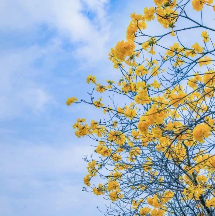 每月2124元，失业了还有这笔钱可以领！