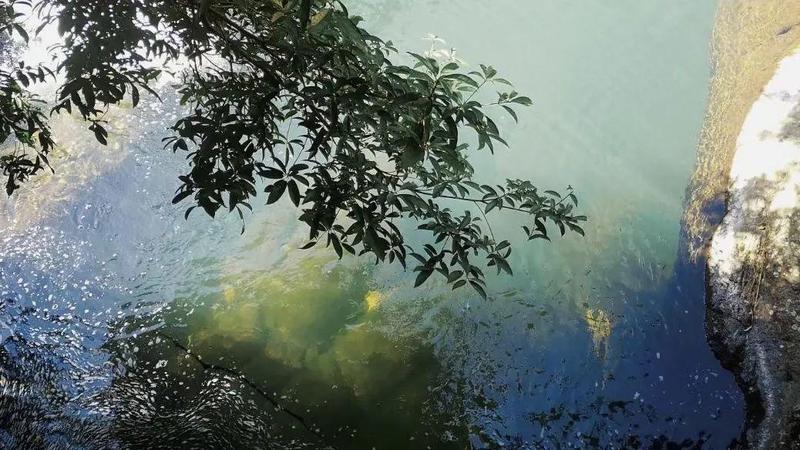 只此青绿，绘出春日，手工DIY点燃艺术火花！