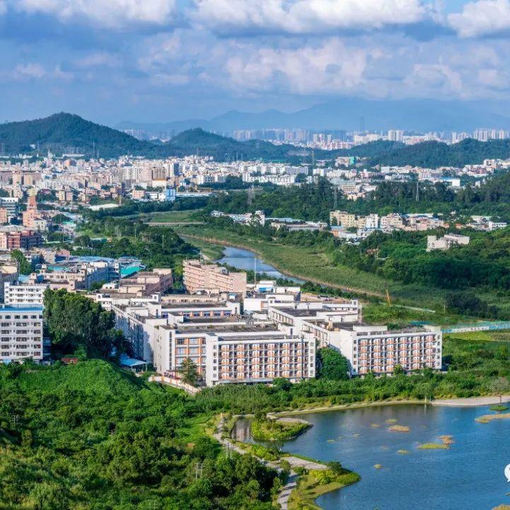 龙岗区惠企政策操作指南出炉！速戳→