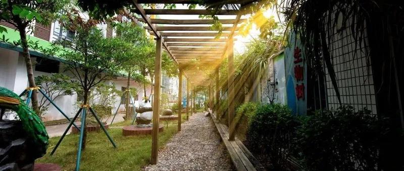 不负光阴不负春！龙岗校园云上赏春大PK，你Pick哪一家？