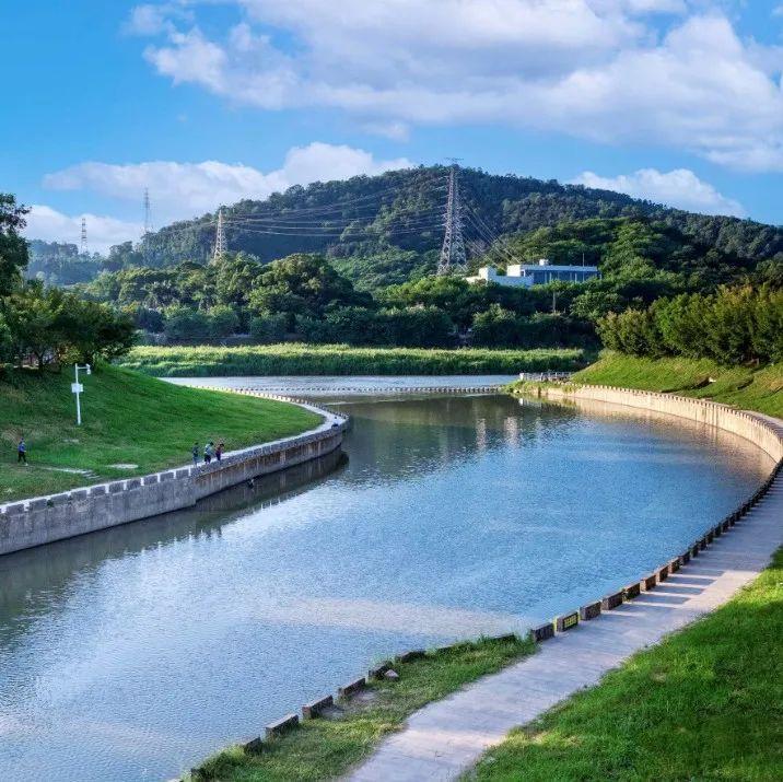 5000元起！龙岗购车补贴申请指南来了~