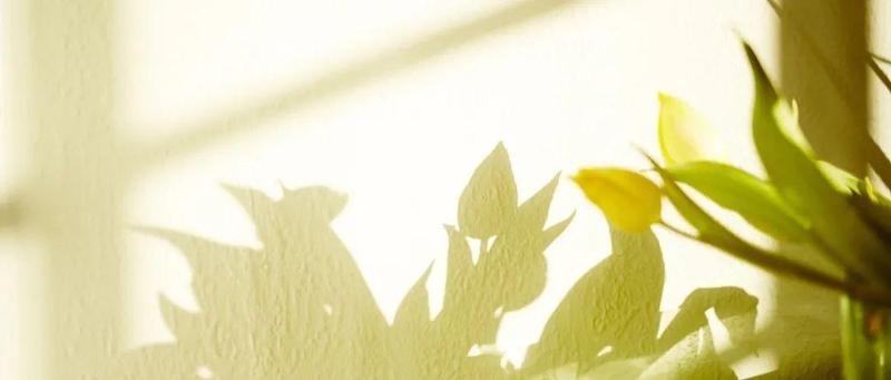 “阅”满鹤湖｜你可知道，阳光的味道？