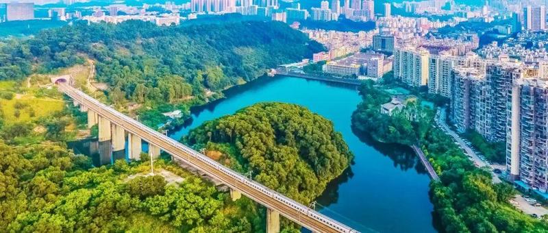 最高补贴1000万元！龙岗出台“绿色撑企”优化营商环境20条！