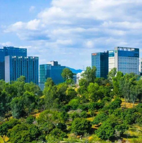 重要提醒！3月30日起，所有抵深、返深人员均需申报！