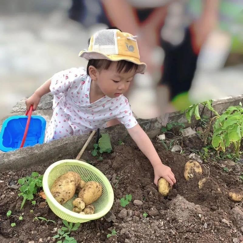 抗疫日记⑮ | “植”此青绿，龙岗人这样“种下”春天！