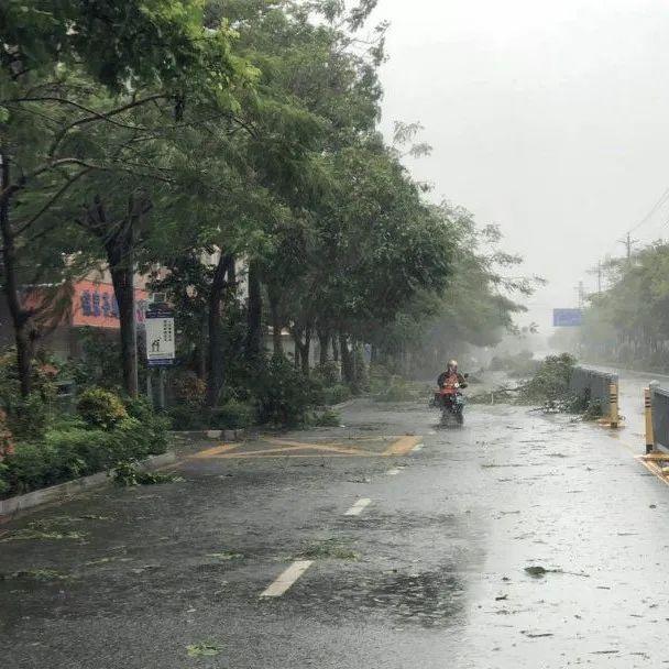 坪地街道防汛防旱防风指挥部办公室通告