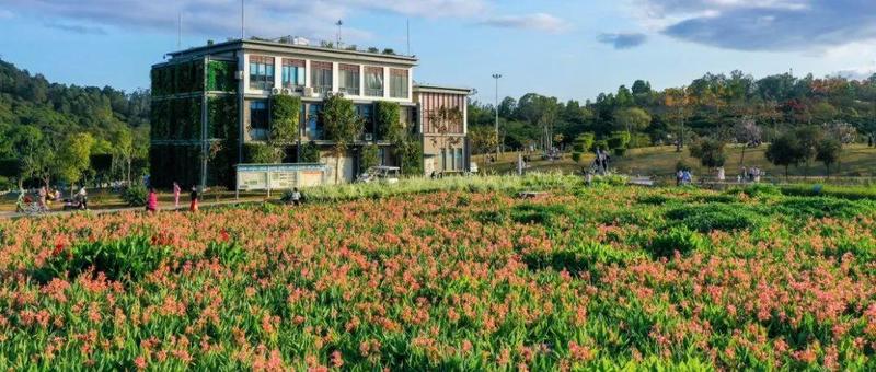 深圳市新型冠状病毒肺炎疫情防控指挥部通告〔2022〕5号