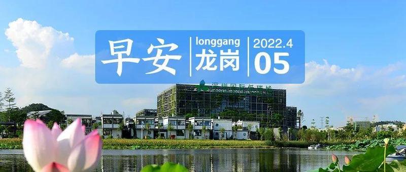 返程提示来了！高峰将出现在这个时段这些路段｜早安，龙岗