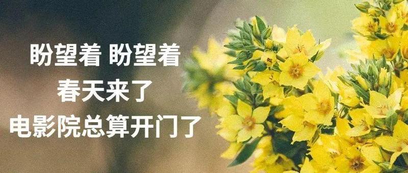解除管控后的这个月，出门都要注意啥