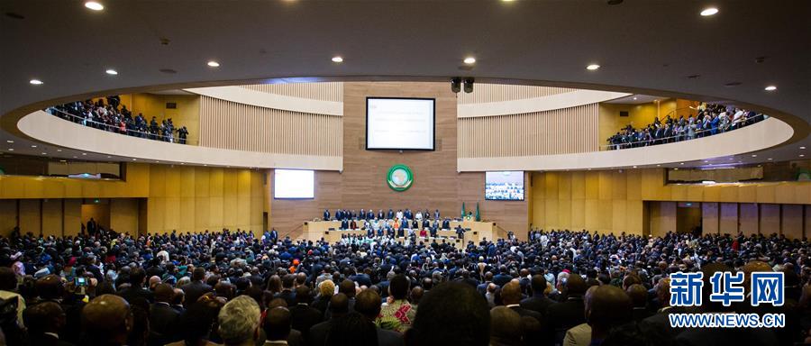 （国际·一周看天下）非盟会议