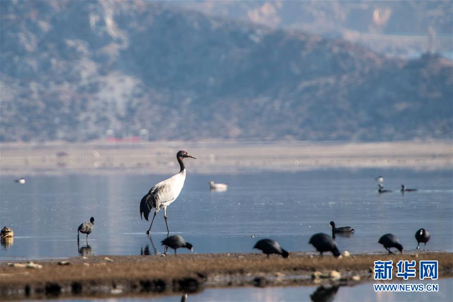 （环境）（1）鹤舞高原