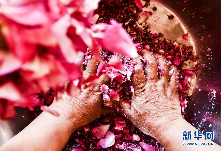 （图片故事）（9）和田农民：从挖玉人到采花人