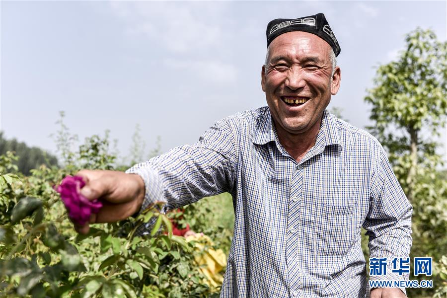 （图片故事）（6）和田农民：从挖玉人到采花人