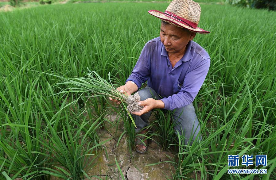 （社会）（1）江西部分地区旱情持续