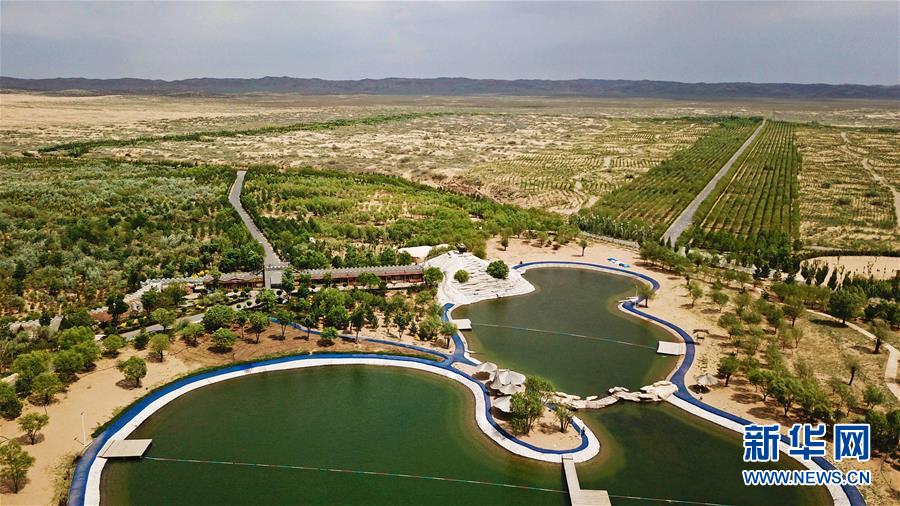 （砥砺奋进六十载·塞上宁夏谱新篇·图文互动）（3）且看塞上“绿肥黄瘦”——宁夏奋进60年巡礼之生态文明篇