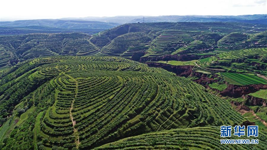 （砥砺奋进六十载·塞上宁夏谱新篇·图文互动）（4）且看塞上“绿肥黄瘦”——宁夏奋进60年巡礼之生态文明篇